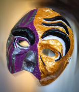 15th Mar 2015 - Masked