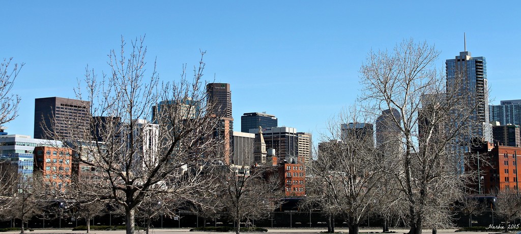 Denver Skyline by harbie