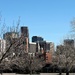 Denver Skyline by harbie