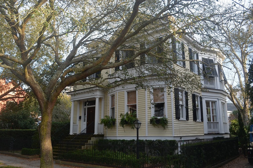A neat old house in a quiet neighborhood, Historic District, Charleston, SC by congaree