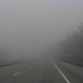Foggy Drive by julie