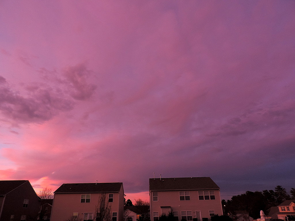 Purple sky by homeschoolmom