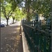 a leafy North Adelaide street by cruiser