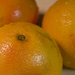 Grapefruit (Pamplemousse) by houser934