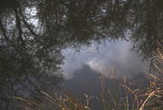 17th Mar 2015 - Cloud and sky reflected in Gobions Lake