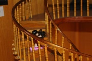 14th Mar 2015 - ~ Day 21 Winding Staircase