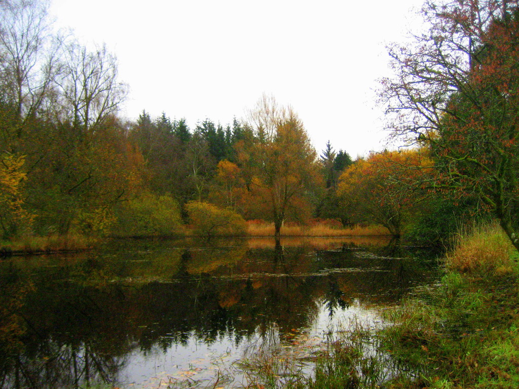 autumn lake by steveandkerry