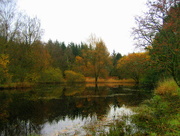 17th Nov 2013 - autumn lake