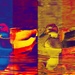 Colourful Ducks by bizziebeeme