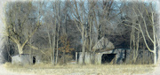 17th Mar 2015 - Abandoned Farm