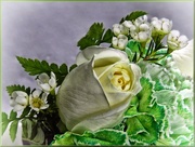 17th Mar 2015 - St Patrick's Day Bouquet 