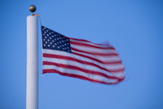 17th Mar 2015 - catching Old Glory waving 1