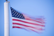 17th Mar 2015 - catching Old Glory waving 2