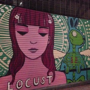 17th Mar 2015 - Locust