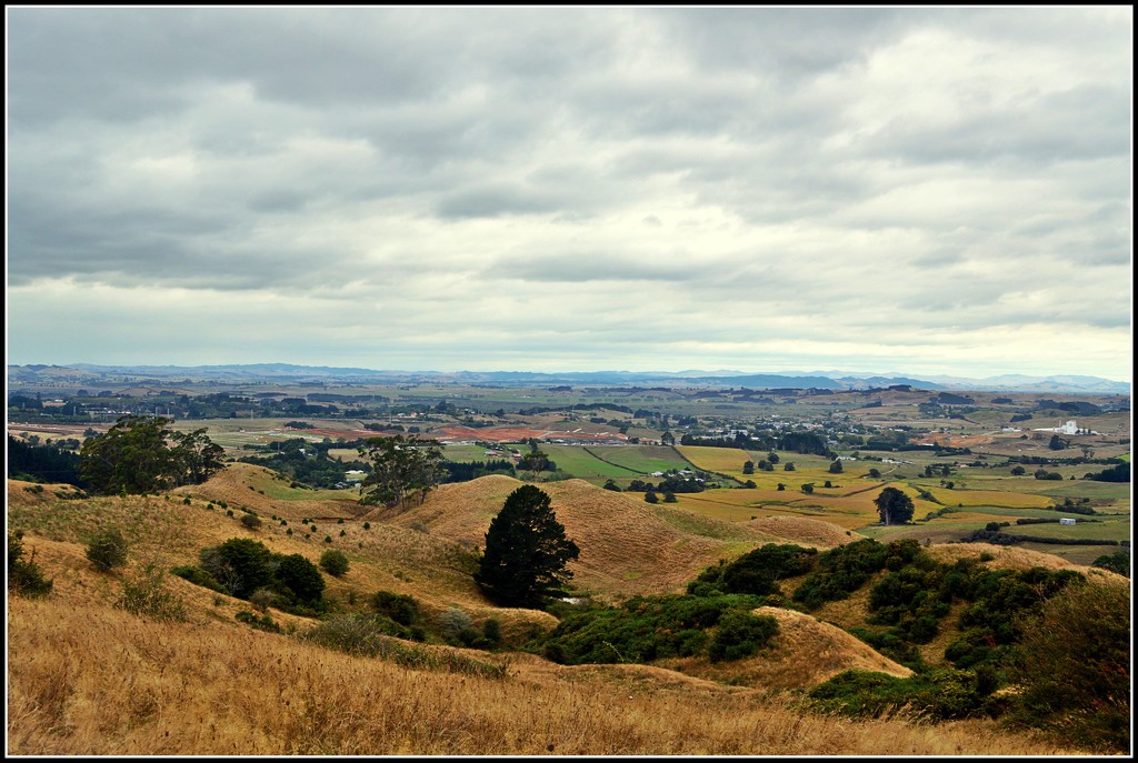 Waikato Landscape by nickspicsnz