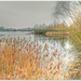 Swanwick Lakes by carolmw