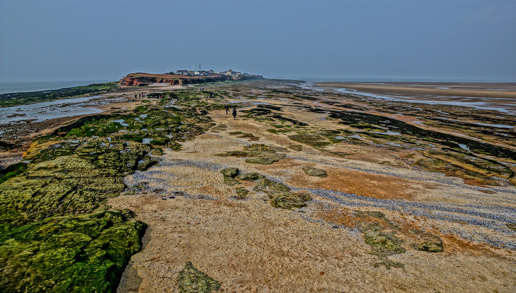 FROM LITTLE HILBRE TO HILBRE by markp