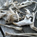 Owl pellet bones by steveandkerry