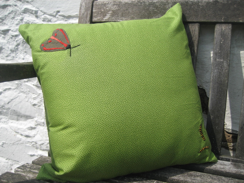 Birthday cinnibar cushion by steveandkerry