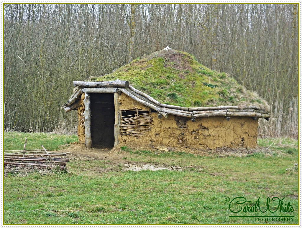 Iron Age Roundhouse (Reconstruction) by carolmw