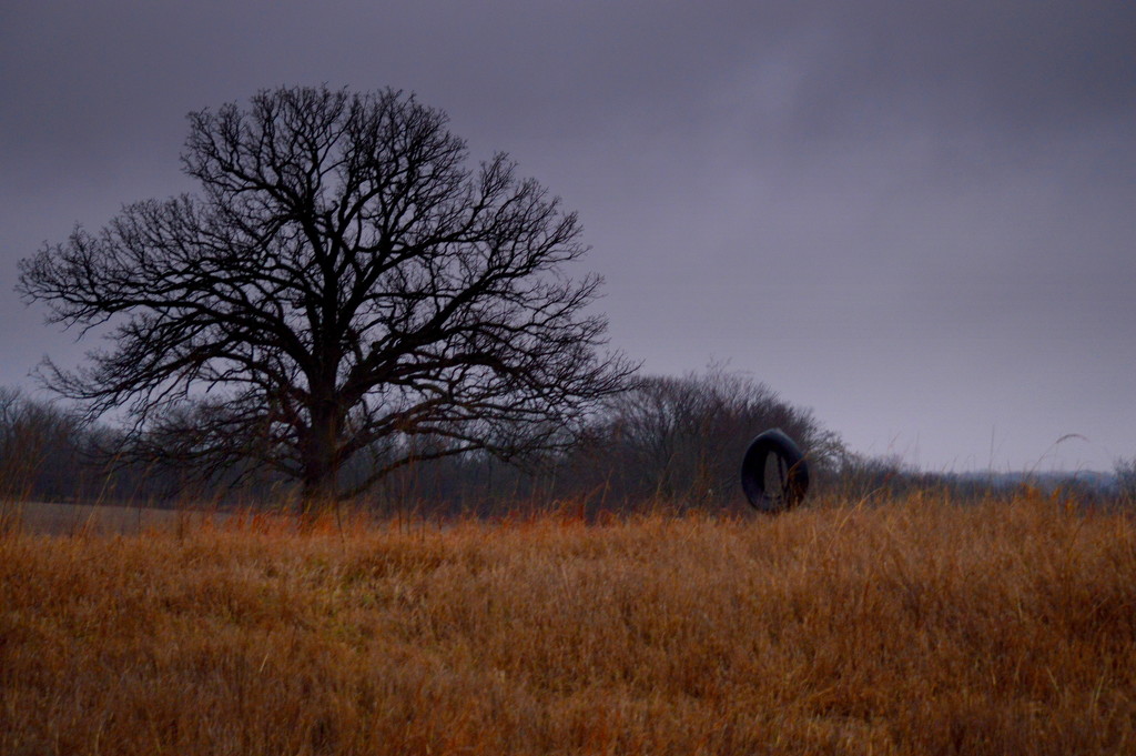 Tree and Tire by kareenking