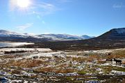 19th Mar 2015 - Norwegian nature