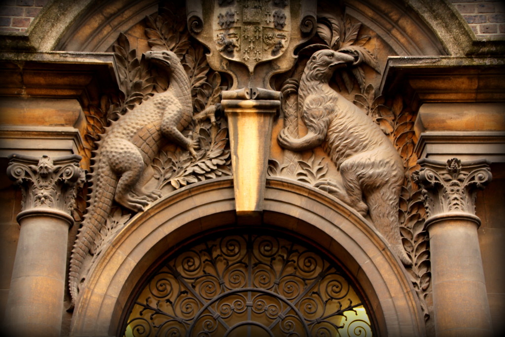 Sedgwick Museum, Cambridge by busylady