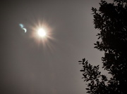20th Mar 2015 - Partial eclipse