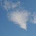 I "heart" clouds! by homeschoolmom