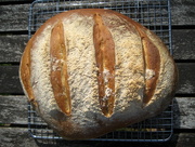 13th Jul 2013 - New bread