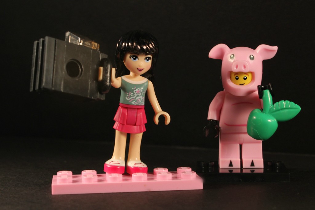 ~ Day 27 Lego lady and her friend Pig by judyc57
