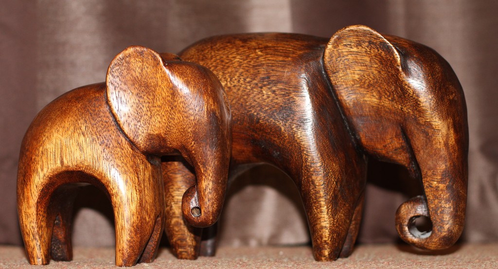 Wooden elephants...... by anne2013