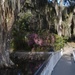 The Long Bridge, Magnolia Gardens, Charleston, SC by congaree
