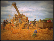 21st Mar 2015 - Fun in the Straw Stack...