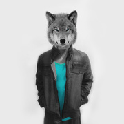 21st Mar 2015 - wolf