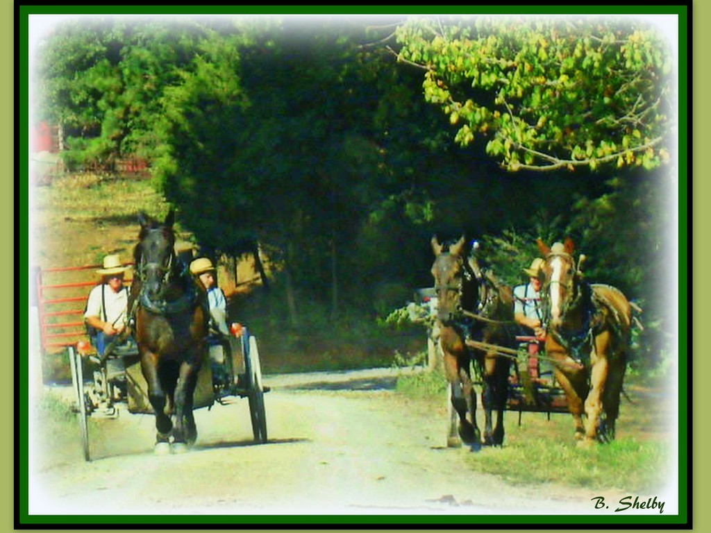 Amish  neighbors by vernabeth