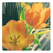 Orange Tulips by yogiw