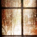 Winter At My Window  by mzzhope