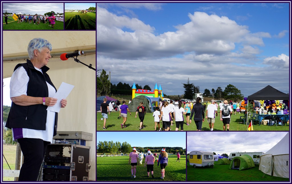 Relay for Life collage by dide