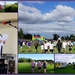 Relay for Life collage by dide