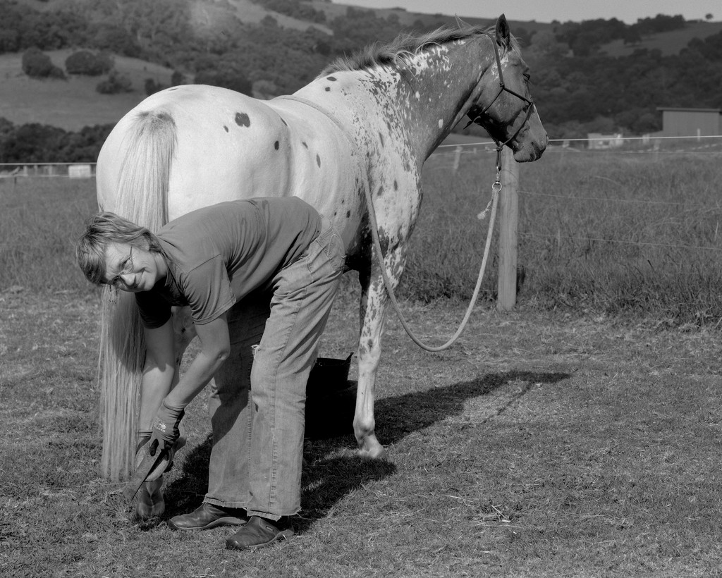 Barefoot hoof care by peterdegraaff