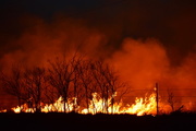 21st Mar 2015 - Burning Field