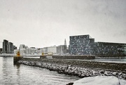 19th Mar 2015 - Reykjavík Old Harbour