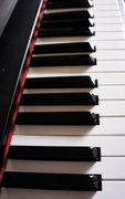 16th Mar 2015 - Piano keys
