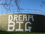 20th Mar 2015 - Dream Big
