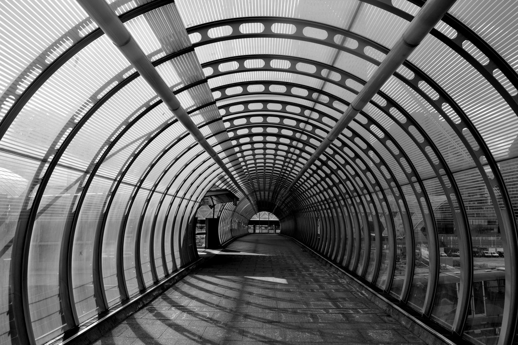 Tube by andycoleborn