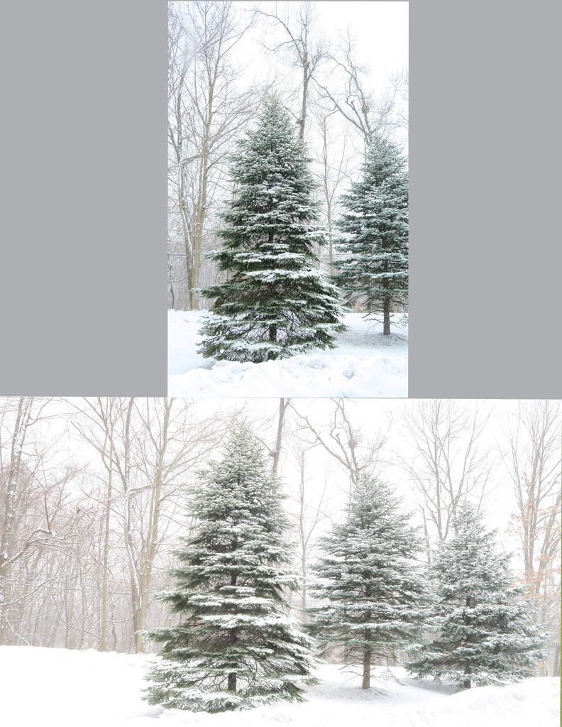 Snow Setting (top)  Manual Setting (Bottom) by april16