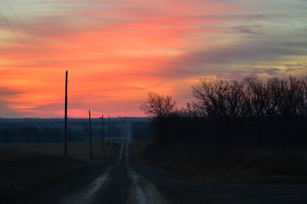 The Road I Love by kareenking