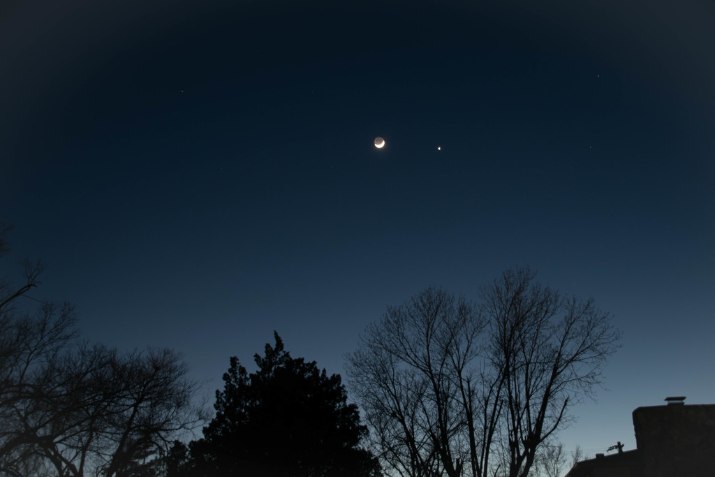 Moon & Venus by ckwiseman
