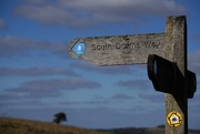 23rd Mar 2015 - South Downs Way: the last lap